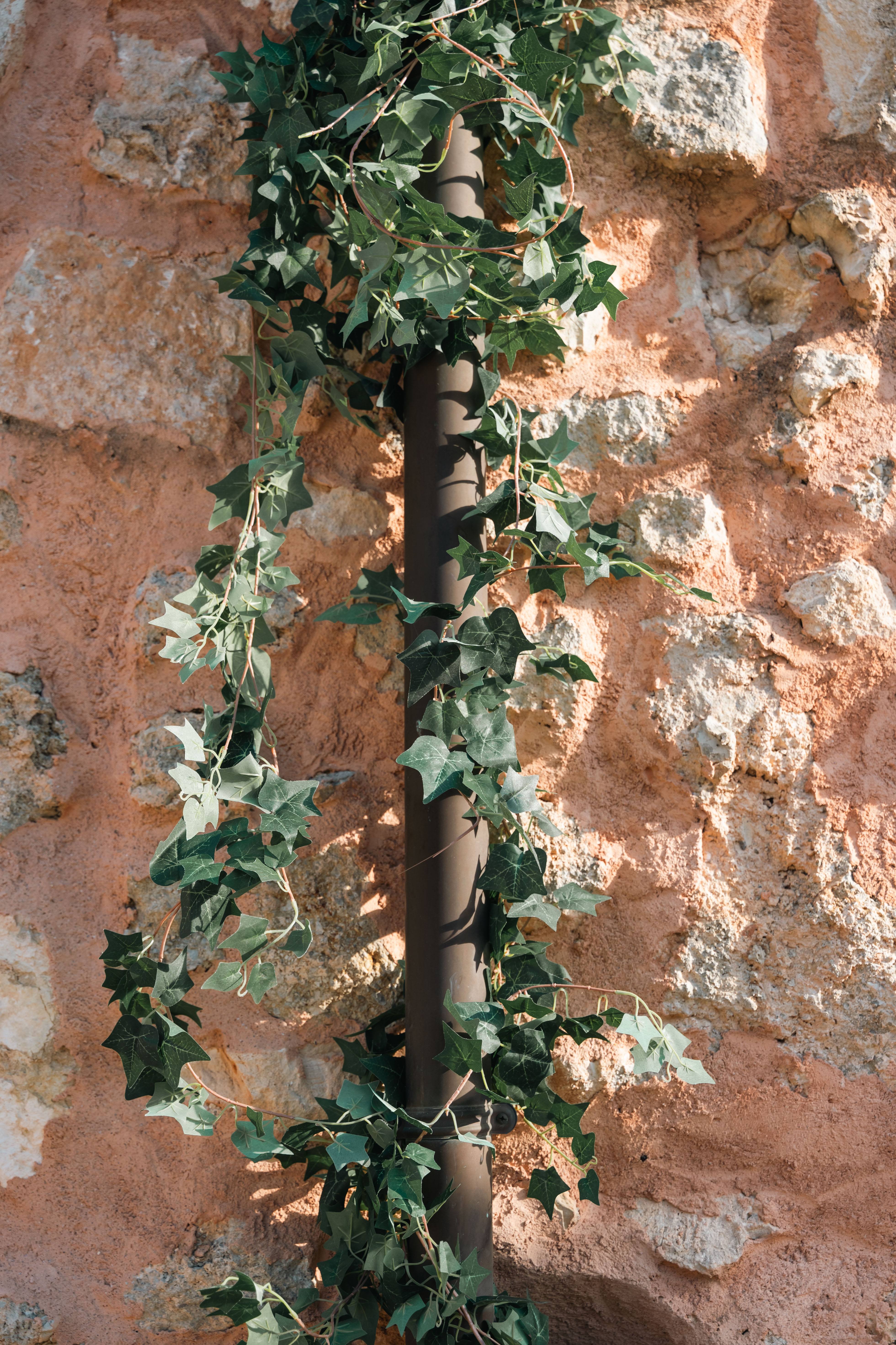 8380a487 ea46 450d 87af f9793275b784